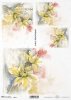 kwiat, ogród, łąka, wiosna, autorka grafiki Maria Kopeć, R911, flower, garden, meadow, spring, Blume, Garten, Wiese, Frühling, flor, jardín, prado, primavera